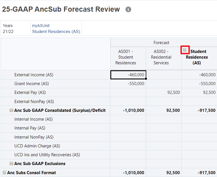 Ancillary Subsidiary Review Forecast